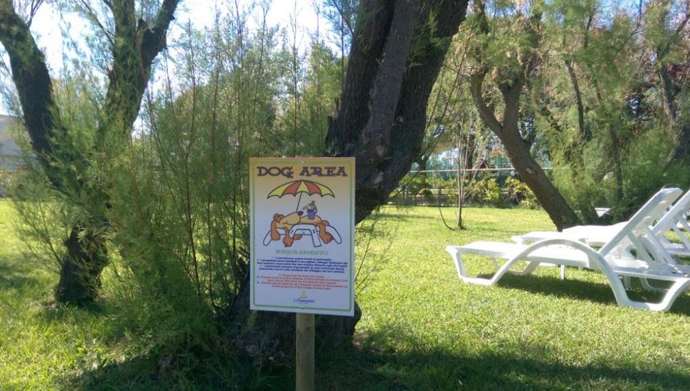 campeggio pet friendly lucca