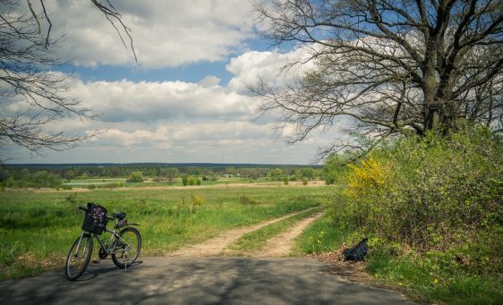 bike-1048135_960_720 bike-1048135_960_720